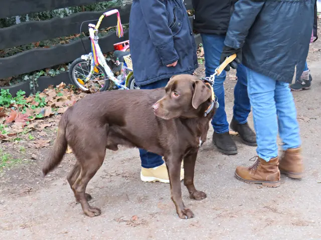 Foto: Brigitte Melder