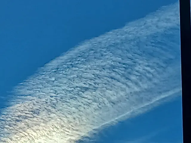 Foto: ELISABETH WEBER