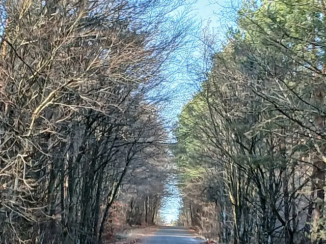 Foto: ELISABETH WEBER