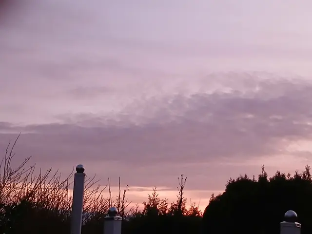 Der Tag beginnt. | Foto: ELISABETH WEBER