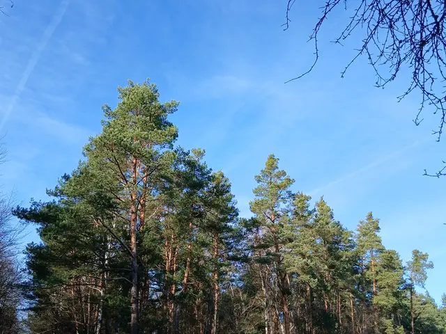 Foto: ELISABETH WEBER