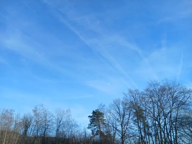 Foto: ELISABTH WEBER