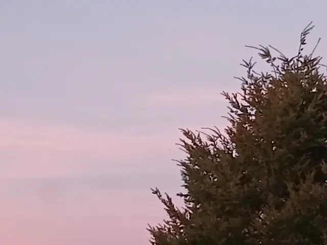 Foto: ELISABETH WEBER