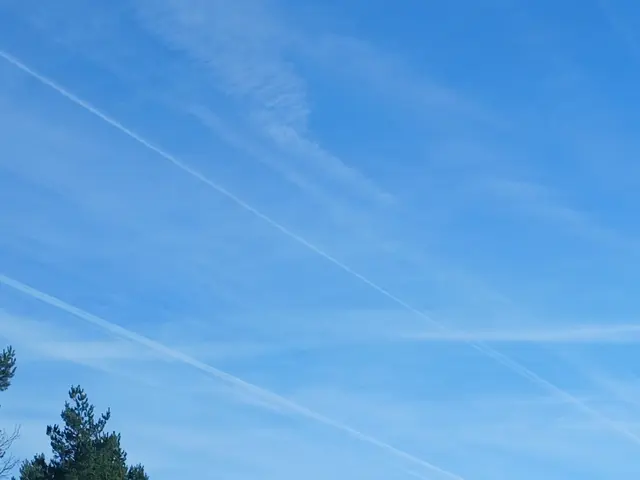 Foto: ELISABETH WEBER