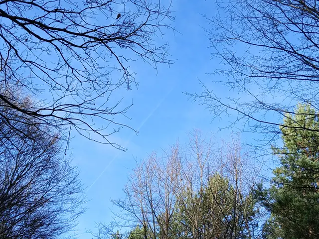 Foto: ELISABETH WEBER