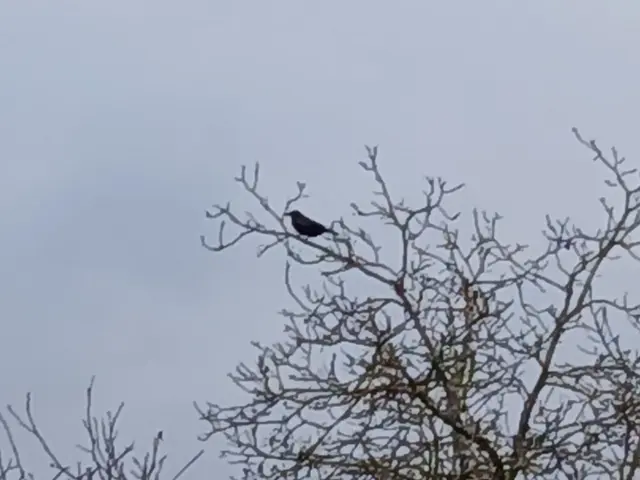 Dezember 2025 | Foto: ELISABETH WEBER