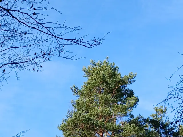 Foto: ELISABETH WEBER