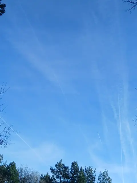 Foto: ELISABETH WEBER