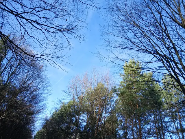 Foto: ELISABETH WEBER