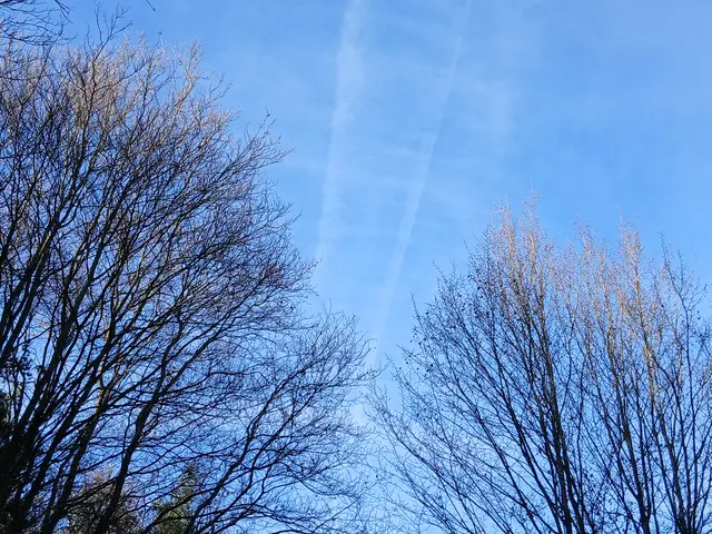 Dezember 2025 | Foto: ELISABETH WEBER