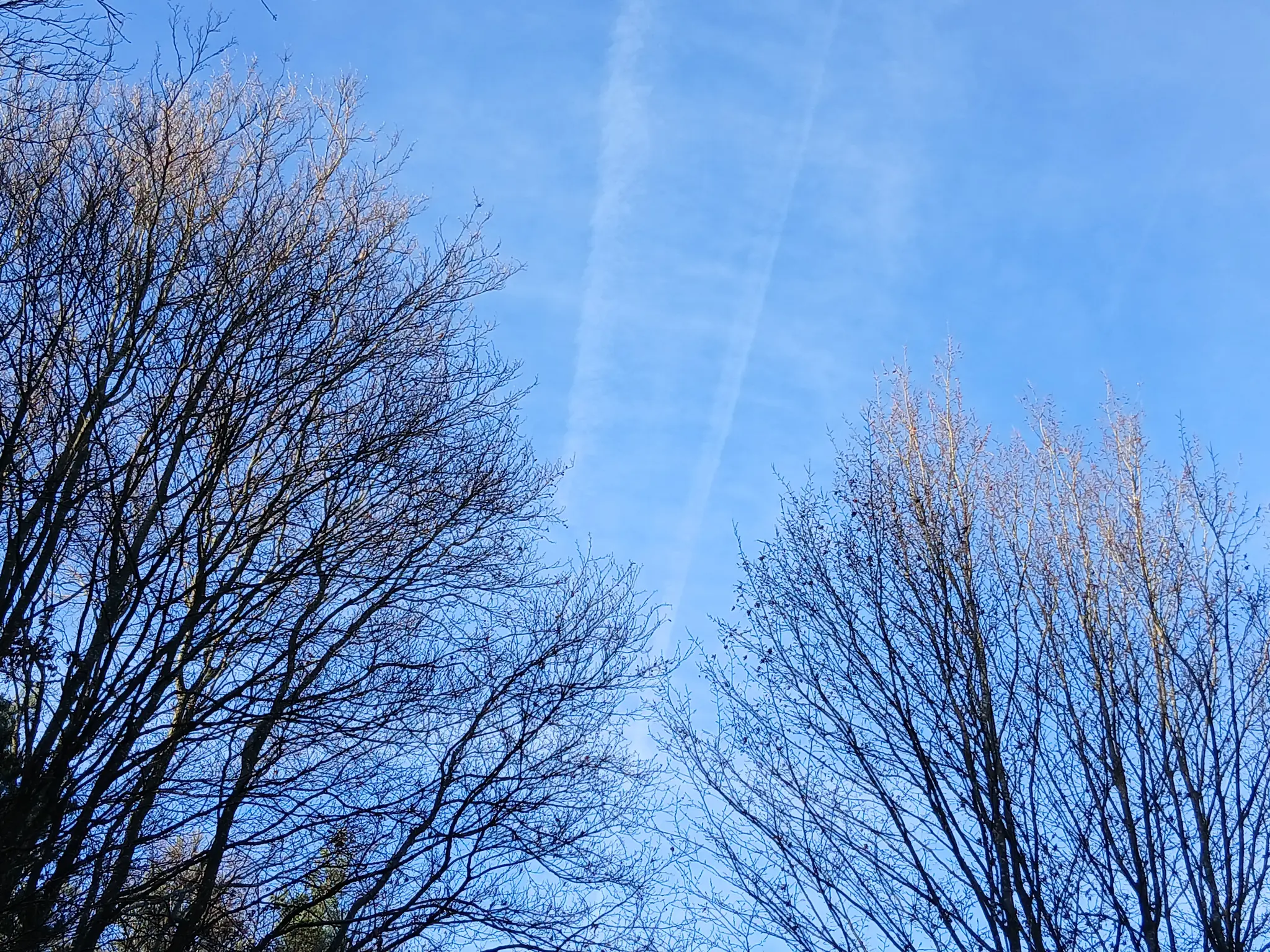 V-I-S-I-O-N-MEINE-W-NSCHE-