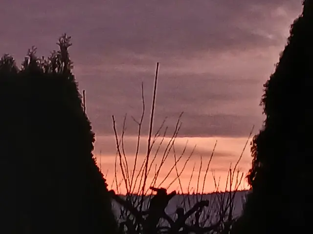 MORGENROT | Foto: ELISABETH WEBER