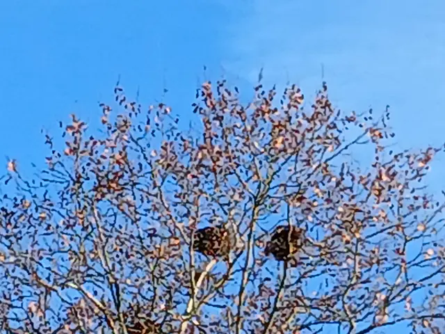 Foto: ELISABETH WEBER