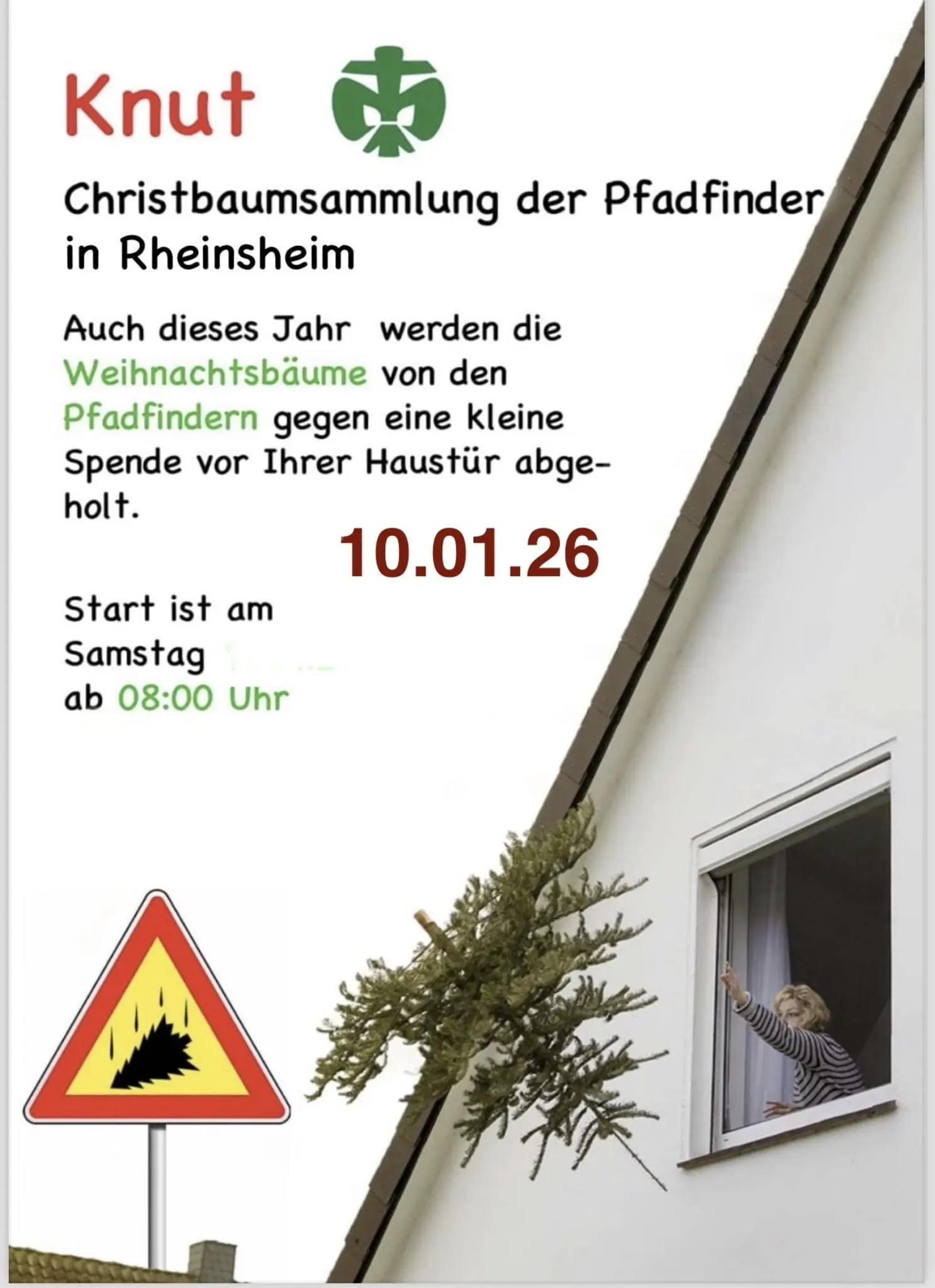 Pfadfinder-sammeln-Christb-ume