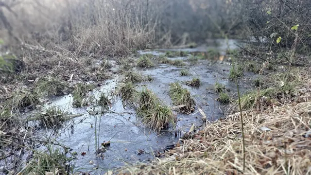 Ein Duett im Frost: Gras und Wasser | Foto: Monika Klein