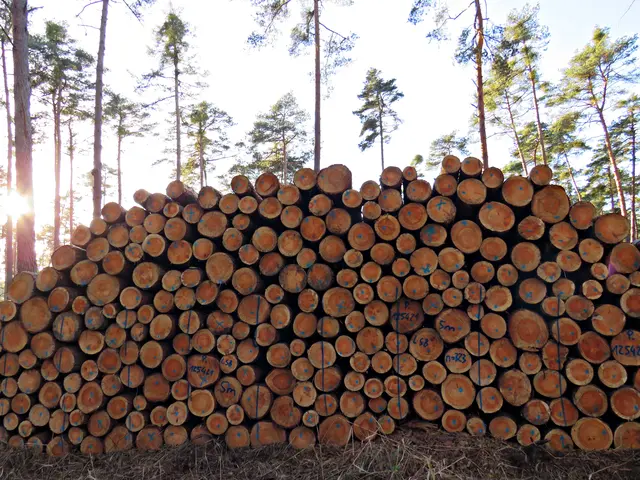 Foto: Brigitte Melder