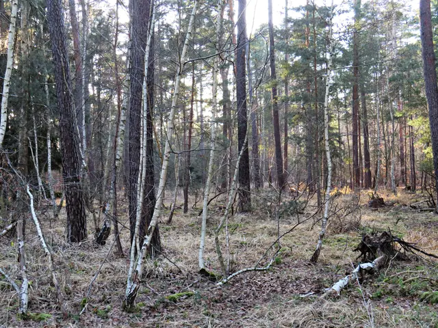 Foto: Brigitte Melder