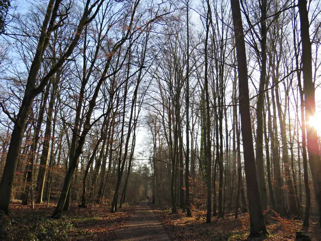 Foto: Brigitte Melder