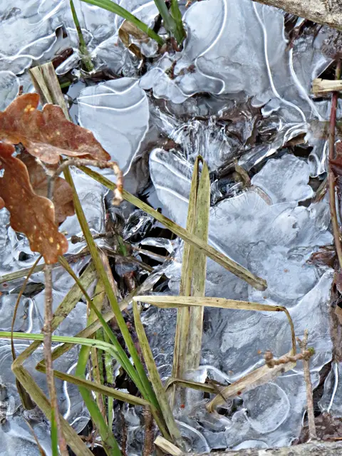 Foto: Brigitte Melder