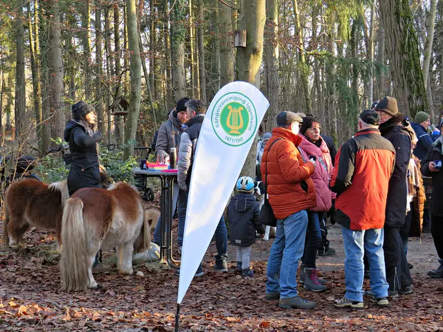 Foto: Brigitte Melder