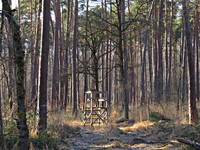 Foto: Brigitte Melder