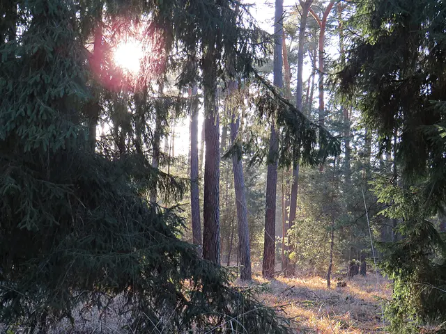 Foto: Brigitte Melder