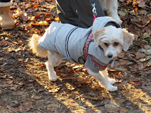 Warm eingepackt | Foto: Brigitte Melder