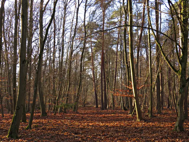 Foto: Brigitte Melder