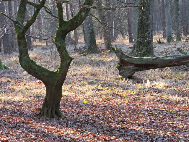 Foto: Brigitte Melder