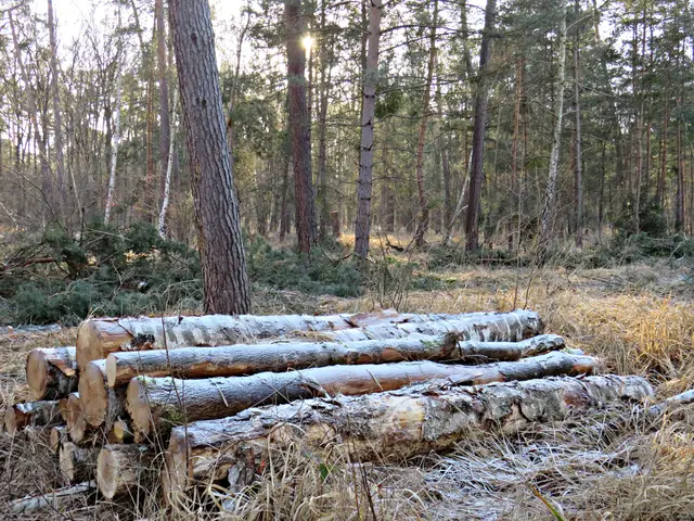 Foto: Brigitte Melder