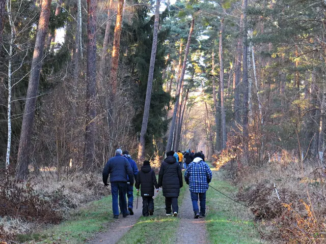 Heimweg | Foto: Brigitte Melder