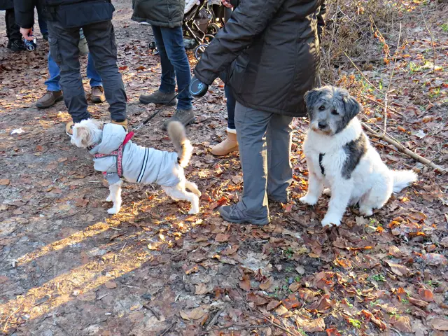 Foto: Brigitte Melder