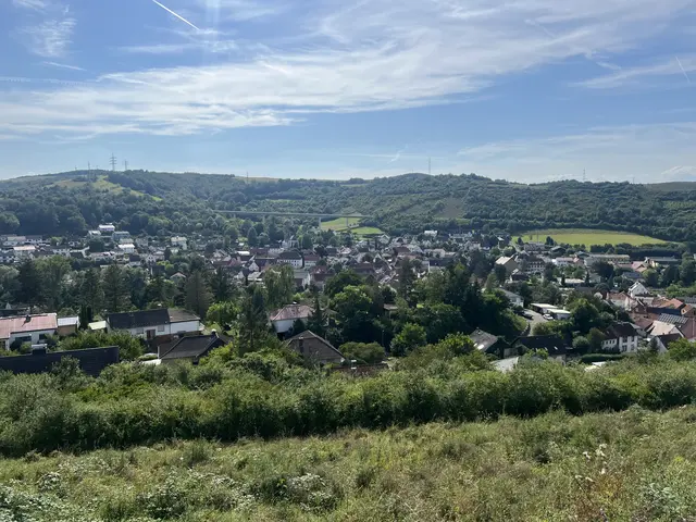 1250 Jahre Alsenz - Blick auf die Gemeinde im Sommer 2025 vom Neubaugebiet aus  | Foto: Arno Mohr 