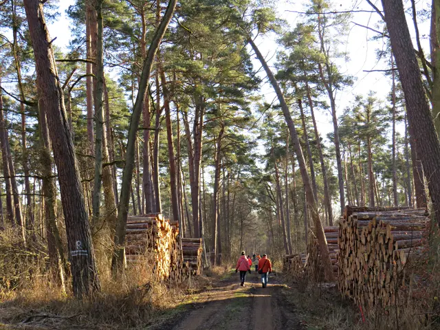 Foto: Brigitte Melder