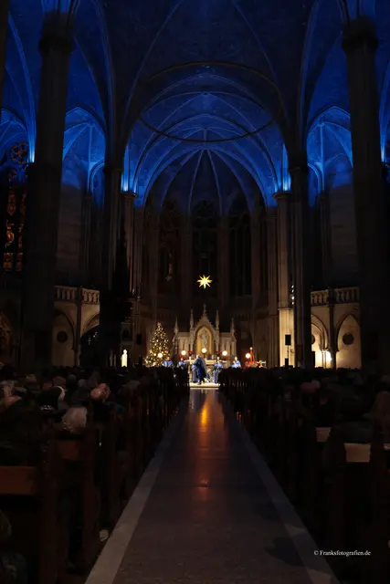 Foto: © Franksfotografien.de