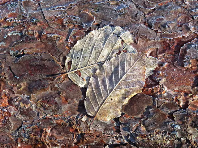 Foto: Brigitte Melder