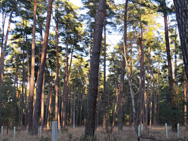 Foto: Brigitte Melder