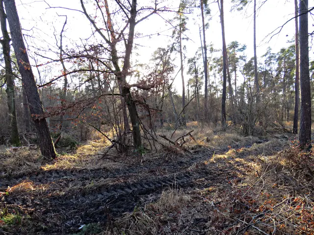 Foto: Brigitte Melder