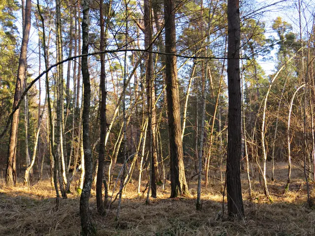 Foto: Brigitte Melder