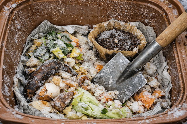 Blick in eine gefrorene Biotonne | Foto: Heike Schwitalla