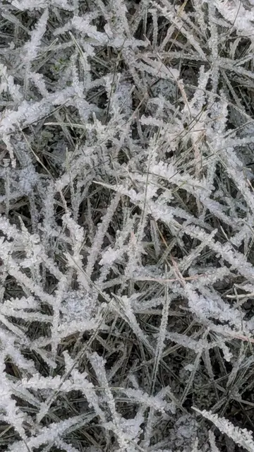 während der Raunächte steht die Zeit still | Foto: Heike Schwitalla