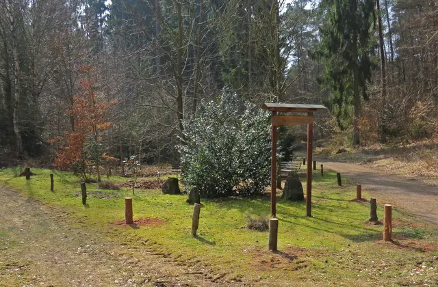 Ein idyllischer Flecken: So sah die "Waldesruh" zwischen Erfenbach und Wiesenthalerhof aus. Das Foto stammt von 2018 | Foto: Klaus Alt/gratis
