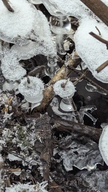 Die Rauhnächte sind mehr als Winterwonderland | Foto: Heike Schwitalla