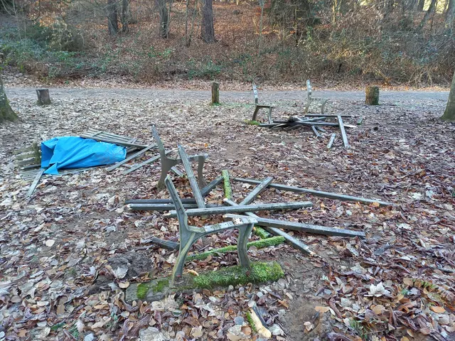 Nur noch die Standbeine der Ruhebänke sind intakt: Sitzflächen und Rückenlehnen sind komplett zerstört | Foto: Klaus Alt/gratis