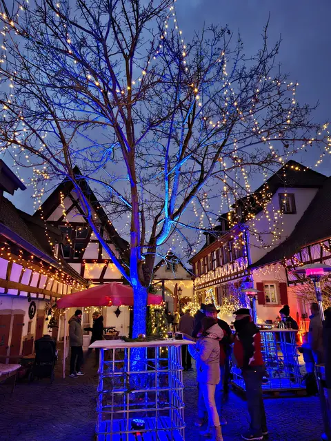 Foto: Brigitte Melder