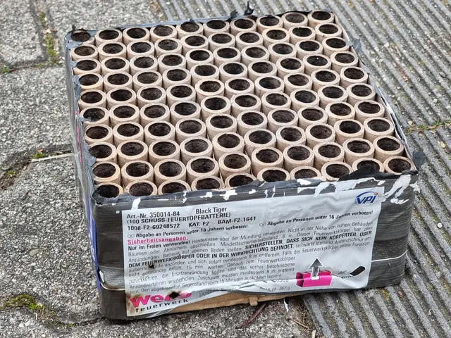 Abgebranntes Feuerwerk. | Foto: Charlotte Basaric-Steinhübl