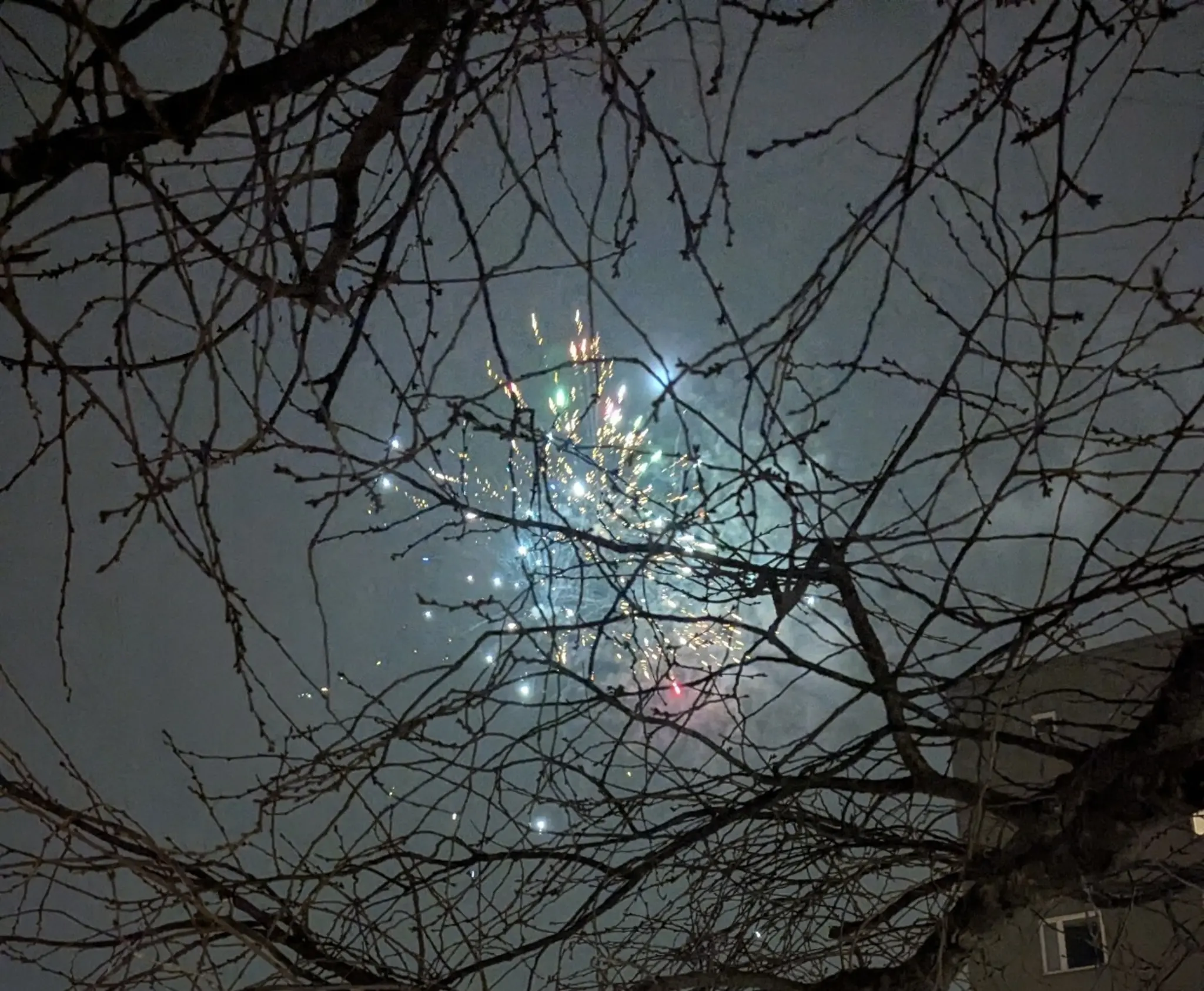 Silvester-in-Landau-Polizei-zieht-positive-Bilanz