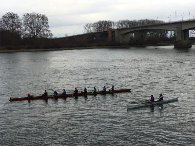 Auffahrt vor dem Steg in Worms | Foto: Claudia Burkhardt