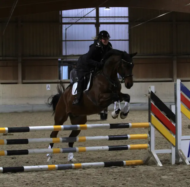Natalie Schäffer und Ebby springen ins neue Jahr | Foto: Marc Scheubeck