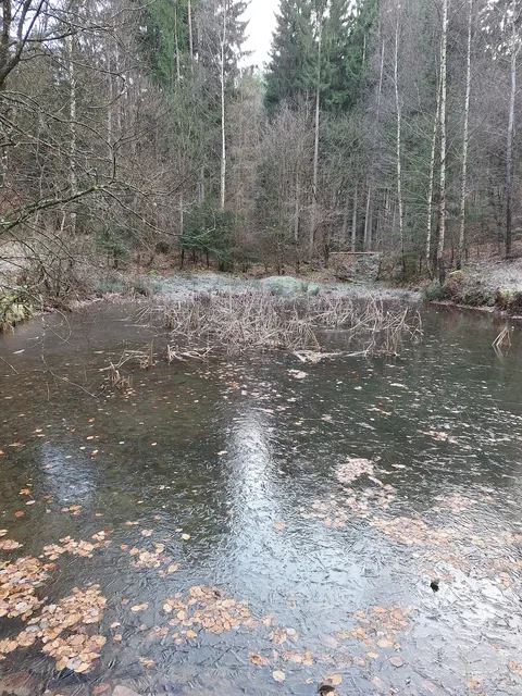 Sindelweiher | Foto: Ich